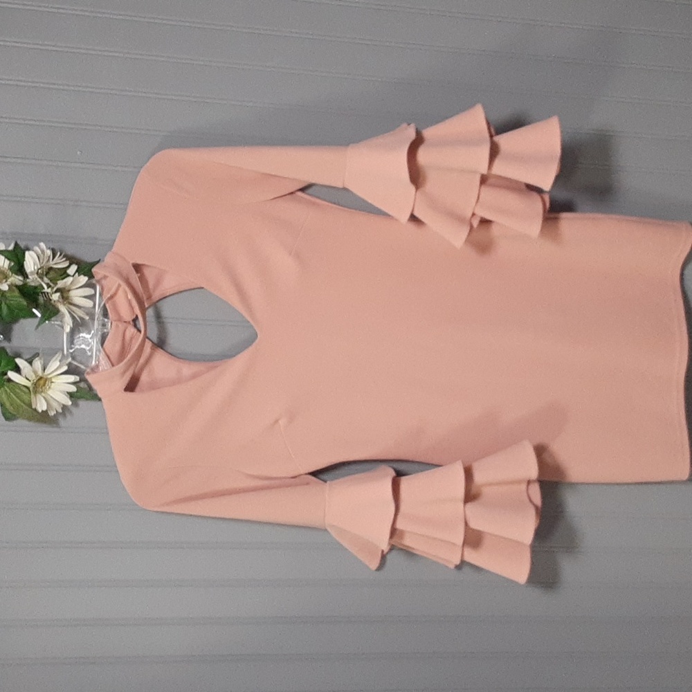 Jealous Tomato Bell Sleeve Dress - Picture 3 of 10